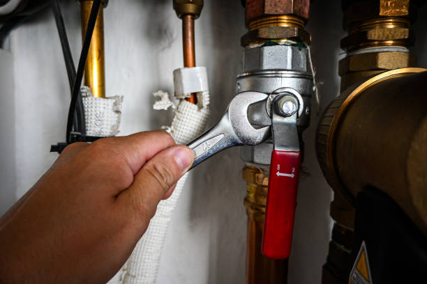 Best Plumbing Inspection Services  in Highwood, IL